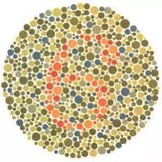 lámina 11 test de daltonismo