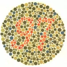 lámina 12 test de daltonismo