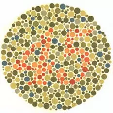 lámina 13 test de daltonismo