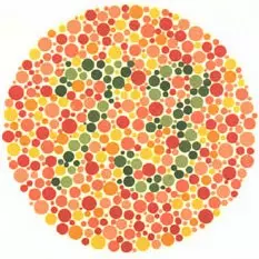 lámina 17 test de daltonismo