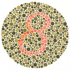 lámina 2 test de daltonismo