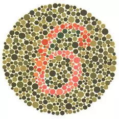 lámina 3 test de daltonismo