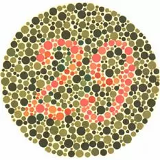 lámina 4 test de daltonismo