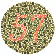 lámina 5 test de daltonismo