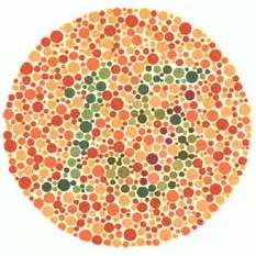 lámina 8 test de daltonismo